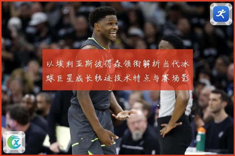 以埃利亚斯彼得森领衔解析当代冰球巨星成长轨迹技术特点与赛场影响力-深度解析