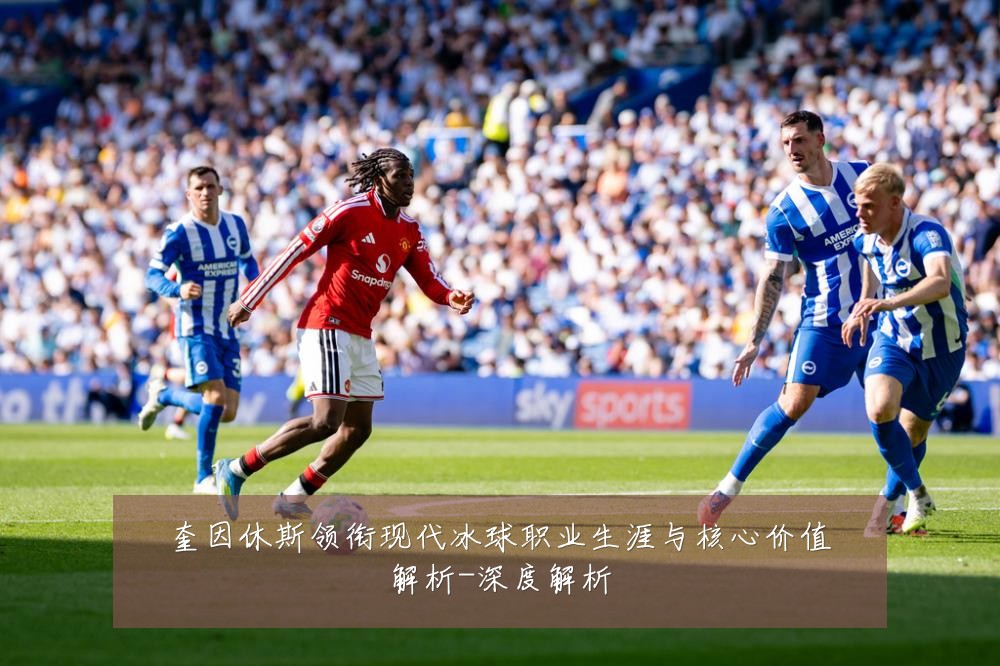 奎因休斯领衔现代冰球职业生涯与核心价值解析-深度解析