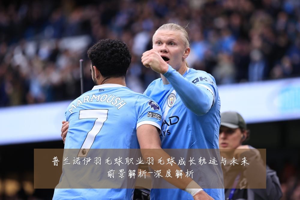 普兰诺伊羽毛球职业羽毛球成长轨迹与未来前景解析-深度解析